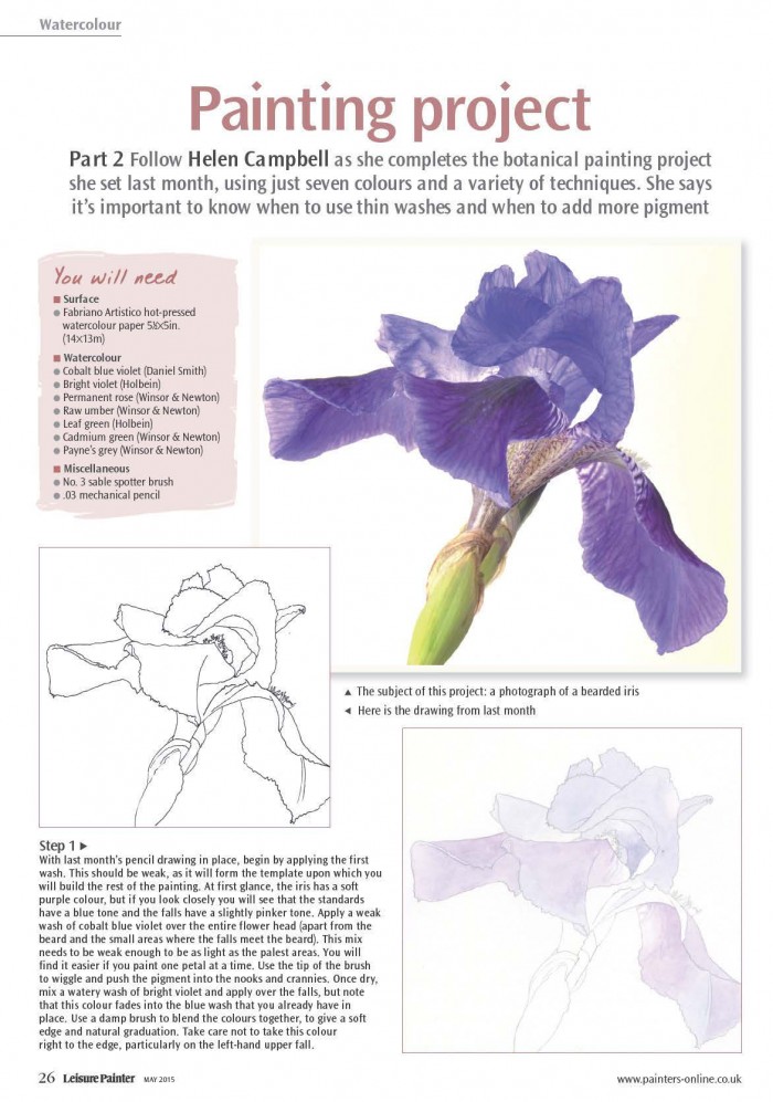 Helen Campbell Art | Free Watercolour Tutorial Download – Bearded Iris ...